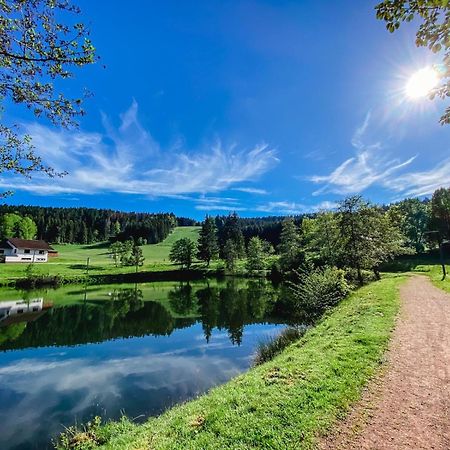 Ferienwohnung "Am Skilift" Herrischried Kültér fotó