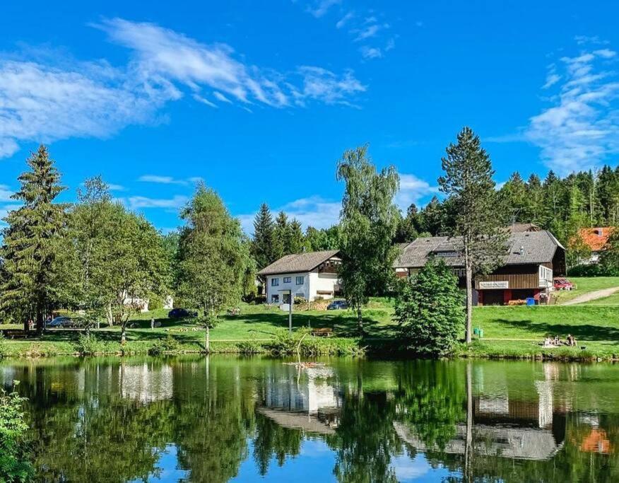 Ferienwohnung "Am Skilift" Herrischried Kültér fotó