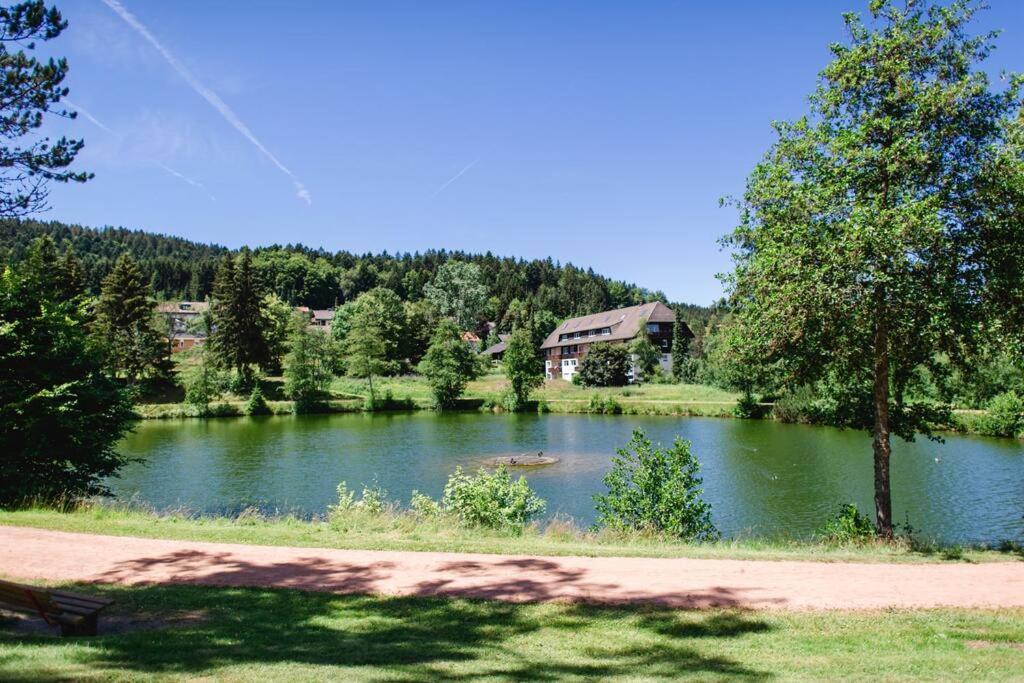 Ferienwohnung "Am Skilift" Herrischried Kültér fotó