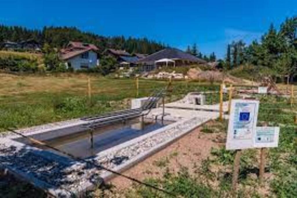 Ferienwohnung "Am Skilift" Herrischried Kültér fotó