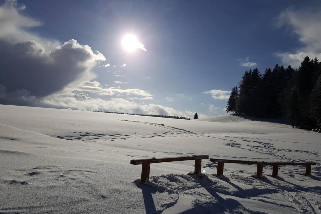 Ferienwohnung "Am Skilift" Herrischried Kültér fotó